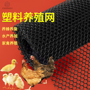 ȫ����ĵϠ�Bֳ�W�Ӻ�����Bֳ�W�B�u�|�W�u���Z�����B�o�W���ϾW