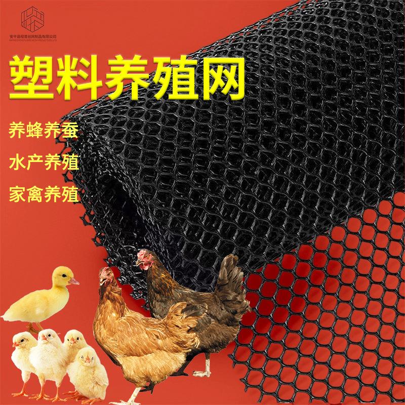全新料牡蛎养殖网加厚家禽养殖网养鸡垫网鸡鸭鹅围栏养护网塑料网