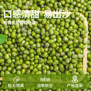 �G����؛�����r���خa�����r�aƷ��؛�l��ѿ�����Ҝ���ɳ�s�Z���l