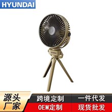 HYUNDAIС����ѧ������ɵ��ڴ��������ȱ�Яʽ¶Ӫ��С�ͷ���