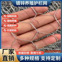 六角卷/家禽围栏鸡舍六角网镀锌铁丝小孔围栏六角网小孔装饰品