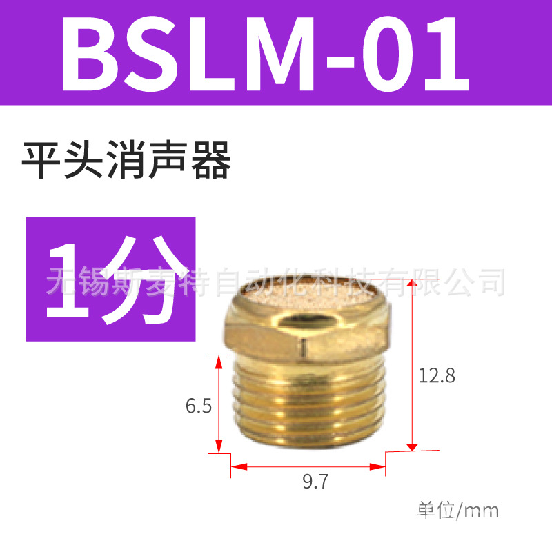 ֱͭ ƽͷBSLM-01/02ŷ 