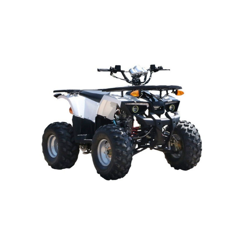 Электрический пляжный SUV, 48V, 1000W