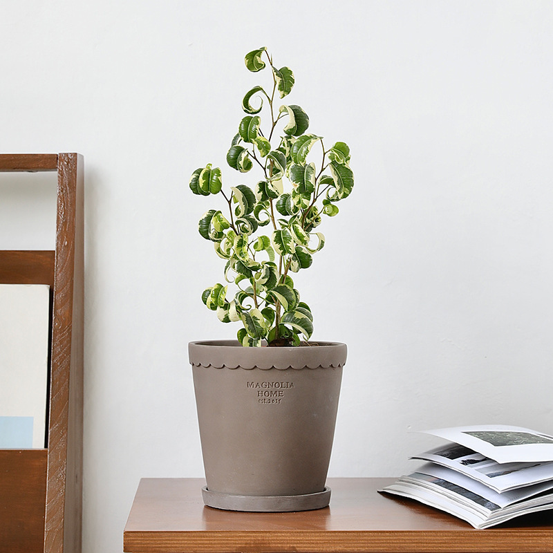 Vintage creative cement flowerpot breathable green potted stoneware fleshy orchid pottery pot red pottery silent wind with tray