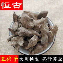 中药材批发五倍子  花倍 独角倍 量大价优