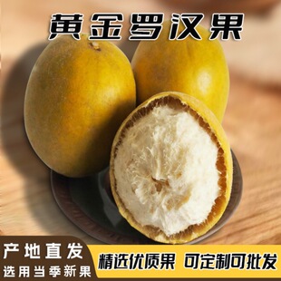 �V�������خa�_�h���������b�͜�Óˮ�S���_�h�����֮a��ɢ�b���l