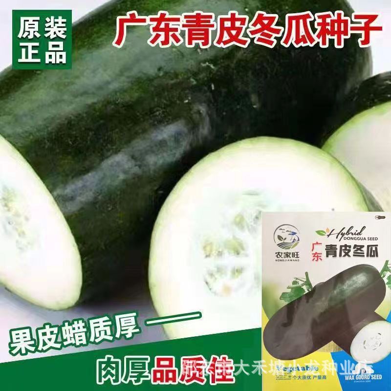 Authentic Guangdong Green Skin Wax Gourd Seeds Disease Resistance High Yield Mid-Late Maturity Varieties Autumn Sowing Vegetable Seeds in Balcony Courtyard