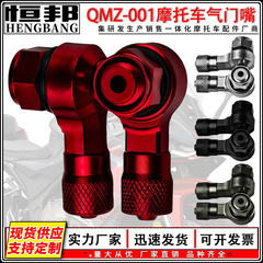 オートバイ改造部品 CNCアルミニウム合金製 qmz-001 バルブタイヤ用バルブ