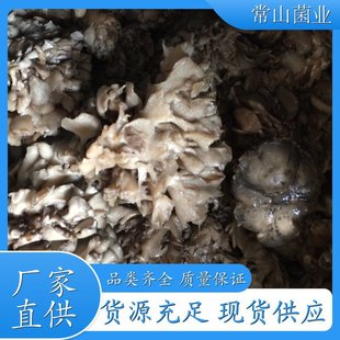 ��Ʒ�Ҙ仨 ���� ���I���aʳ�þ� ɢ�b���u �����I�B �S�����l