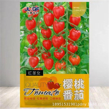 lʰNļN̨҃ԻܷNӼͥNJ޹²ݵؔ