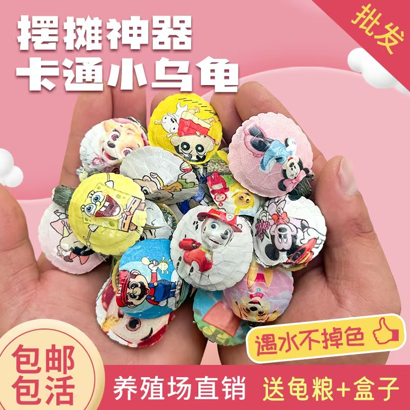 微信图片_20250419221223