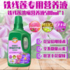 Plant nutrition solution Household -shaped potted plants universal rose hydrodexis, fleshy green Volks, flower liquid fertilizers