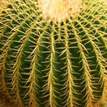 ��̖�����������������҃ȶ���ֲ����������҃ȷ�ݗ���������