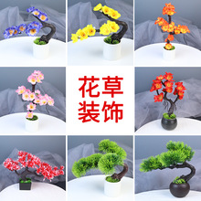 Ƶ⾳Ʒ[Pb˱P݄cYС[˾