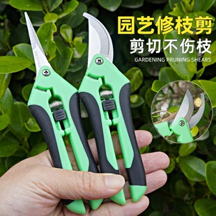 ժ������֦���ӈ@��ϡ����ˇ������ˮ�������߹���ժ����