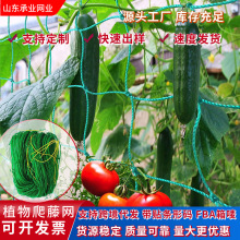 �羳��Ʒֲ�������W�S�϶������ܾջ��W���񿹵����W�Nֲ���پW