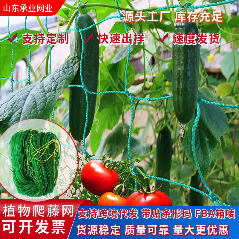 跨境爆品植物攀爬网黄瓜豆角爬架菊花网方格抗倒伏网种植爬藤网