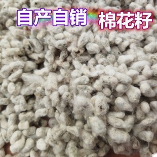 �޻����޻����޻������޻��N��ȥ���޻��N�ӿɎ��ѵ��޻��Y��