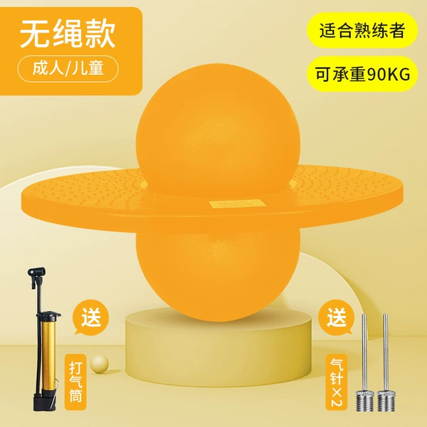 Standard model [yellow] comes with a pump + 2 ball needles