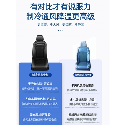 Massage Lumbar Support, Air Blowing Pad — Multi-function pad