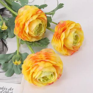 �R�¼ҾӔ[�� ��c���滨�����ָз��滨2�^�ָ�¶ɏ ��õ��Y