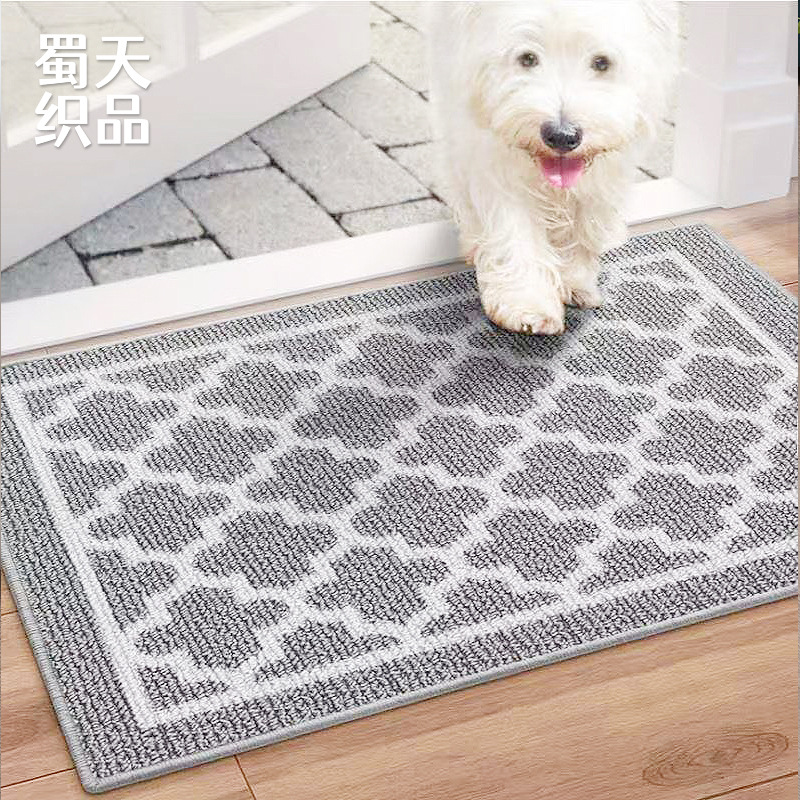 亚马逊丙纶圈绒进门入户地垫定制地毯耐磨耐脏家用大门垫子