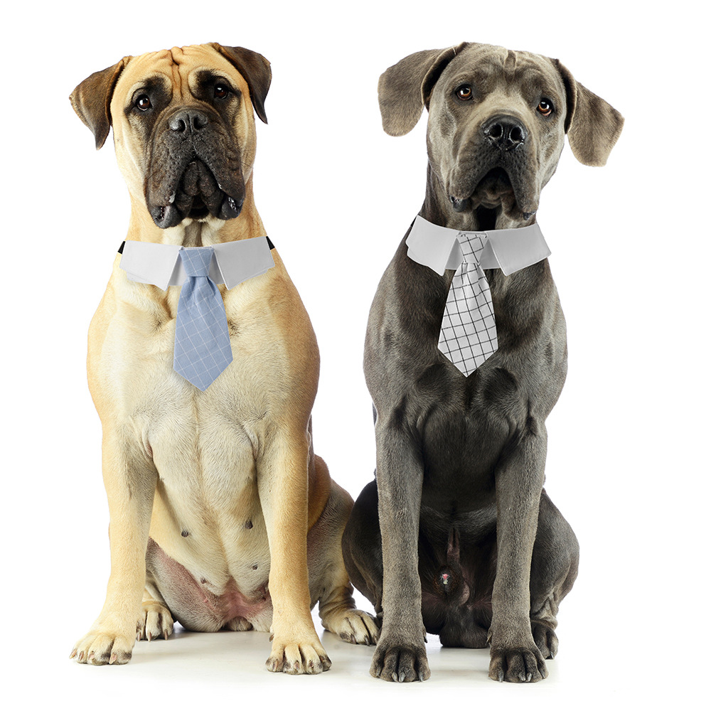 Fábrica en stock transfronterizo nuevo estilo británico guapo boda perro traje de sarga perro collar traje Plaid tie