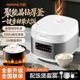 九.阳电饭煲3L家用多功能3L小型智能预约焖煮电饭锅F-30FZ630金属