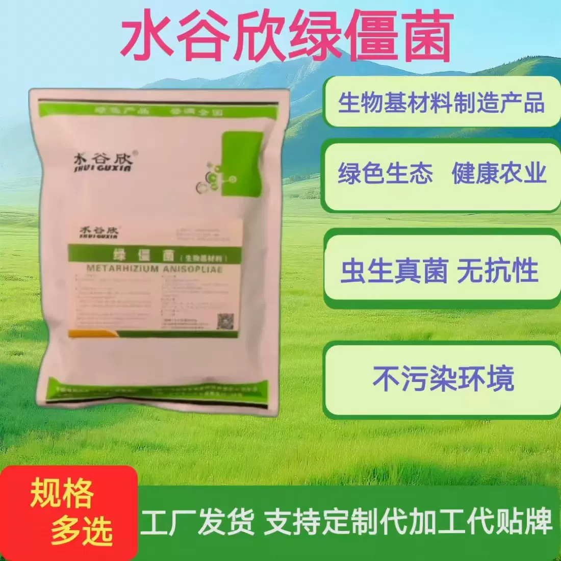 水谷欣球孢白僵菌绿僵菌茶业林业尺蠖种植业农业生物基质通用