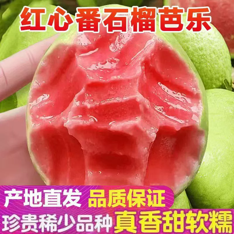 Свежая красно-белая гуава из Гуанси, сезонный тропический фрукт, мягкая и сладкая гуава с красной мякотью, специально для кафе и магазинов с молочными напитками.
