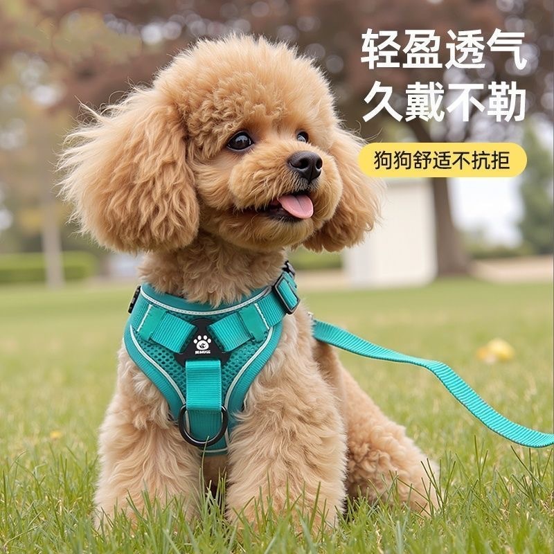 狗狗牵引绳 背心式胸背带猫狗通用小型犬遛狗绳防挣脱宠物牵引绳|undefined