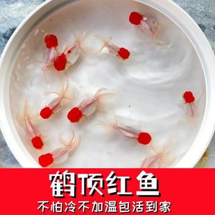 ���\���^�~���B�ͻ�{���^���~���~��ˮ���Ӝ�С�~����Q피t���~