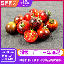 �{ɫ�l�y�������ѷN�Ӹ߮a�ɿڶ�֭������ζ���Ҍ������̨����