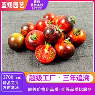 �{ɫ�l�y�������ѷN�Ӹ߮a�ɿڶ�֭������ζ���Ҍ������̨����