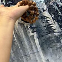 小红书正宗海南黄花梨老料1.8精品尺寸1.8十三颗珠子送盒子保真