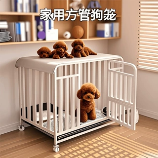 狗笼子大中型小型犬加粗室内分离带厕所柯基泰迪金毛边牧宠物围栏