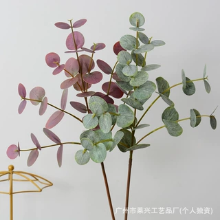 单枝胶片双层尤加利金钱叶婚庆家居装饰仿仿真金钱叶仿真绿植植物