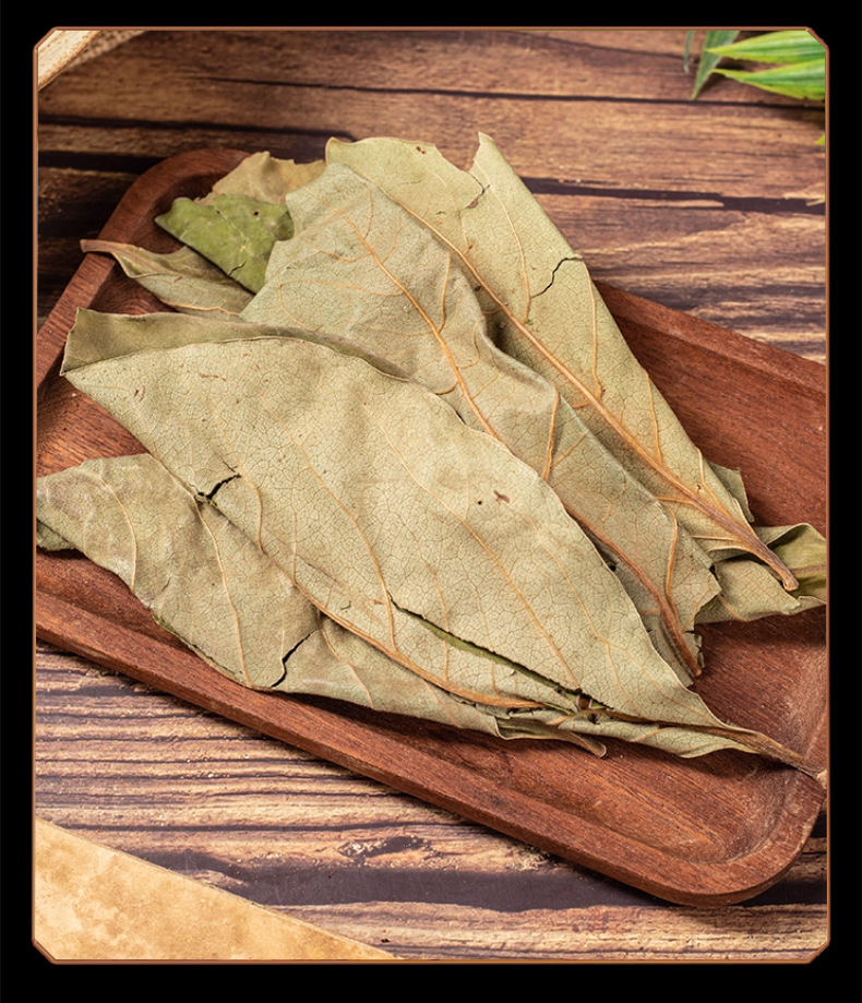 Dried Persimmon Leaf Tea Shi Ye Loose Leaves 50g Pack Natural Sun Dried Herbal Tea in use