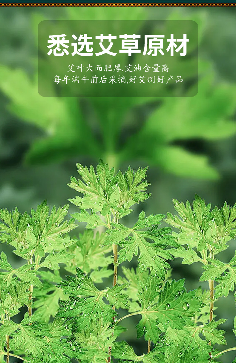 Moxa Sticks Ai Tiao 艾条 Moxibustion Rolls for Home Warming Therapy 10 Pack quality and texture