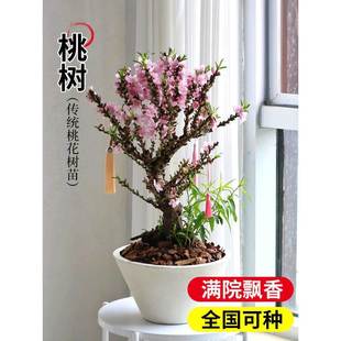 ���A�����������Ϙ��҃��̨�Ҙ��辰�����^�p�ҷN�һ����ͺ����B