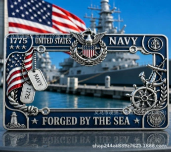 License Plate Frame – Nömrə qabı - d-type-license-plate