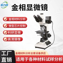 �����@΢�R�����x���I�����I�z�y�y�������Ŀ���ÿ��м���������