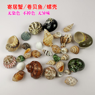 ؐ�����ݼľ�з����Q���~��ؐ�~���ݚ�ؐ�~���b�Ʒ�쾰