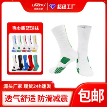 ���]���l���I�@���m�п�ë������Ͳ�m���LͲ��Ӣ�ܲ��\���m�ӏS��