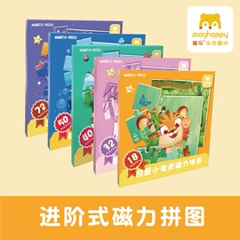 永磁材料;拼图、拼板;软磁材料