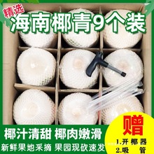 海南椰青新鲜椰子2/4/6/9个装孕妇水果香椰皇去皮一整箱特产包邮