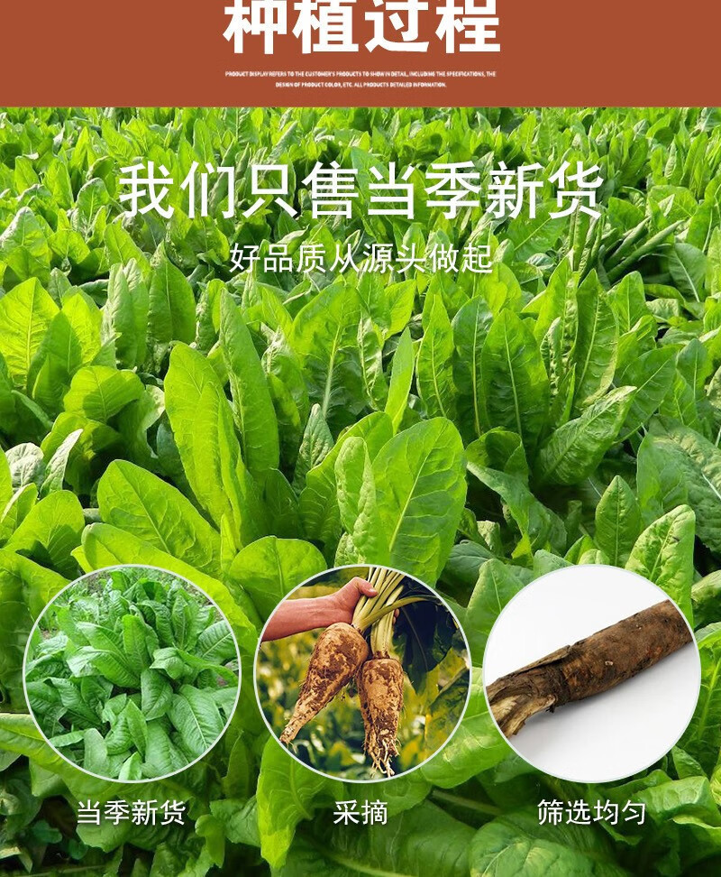 Chicory Root 500g Dried Herbal Tea Slices Ju Ju Gen Cichorium intybus Traditional TCM Wellness Herb specifications