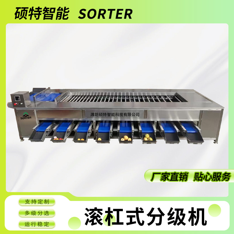 菠萝直径分拣果脯加工设备 红枣螺旋式滚杠分选机 小青柠选果机