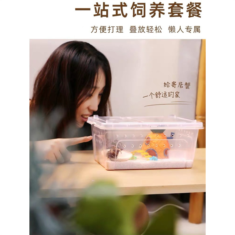 초보자를 위한 소라게 사육 탱크 세트, 어린이 사육 스폰지밥 네모바지 조경 상자 소라게 완전 세트