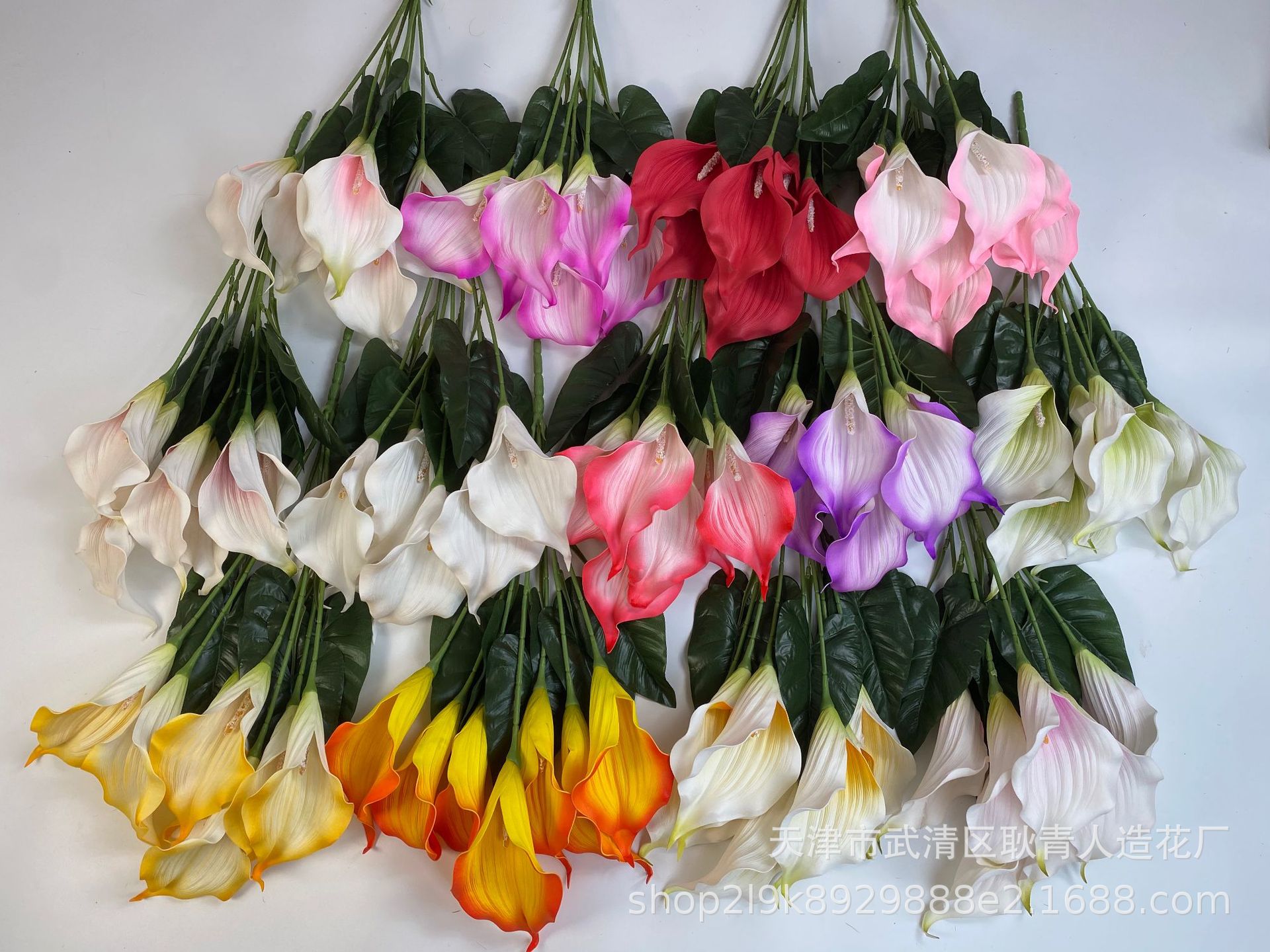 379b07ffa531a54687f4a762c9b847